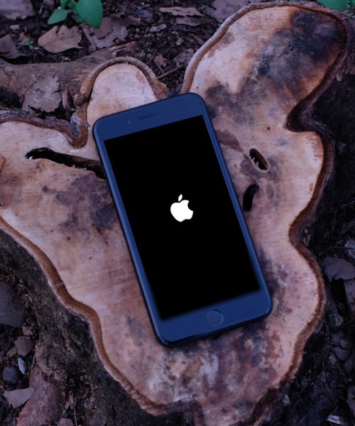 iphone hängt beim apple logo